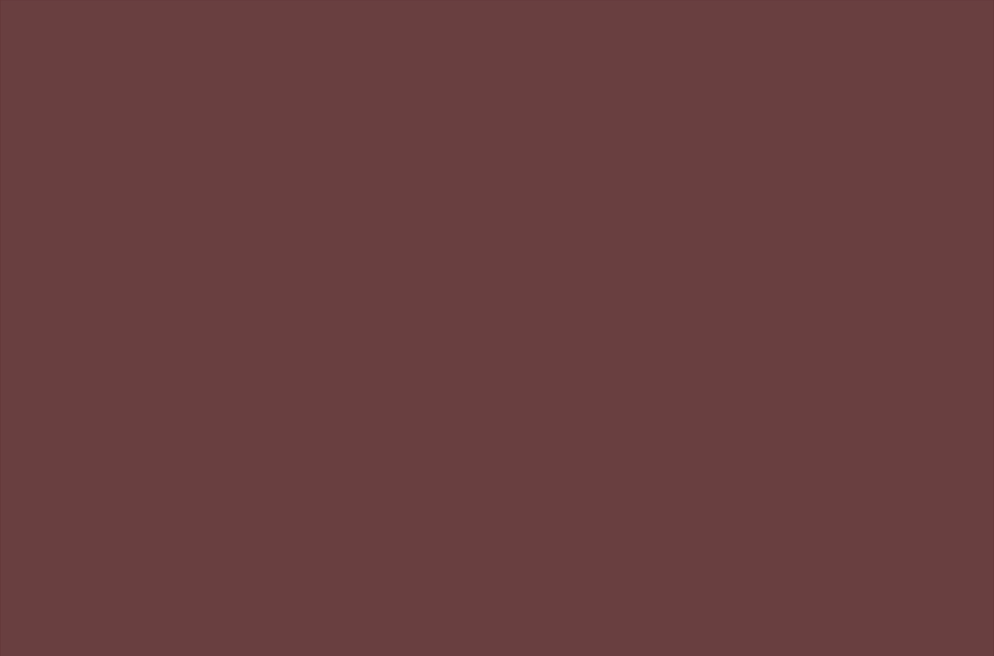 WellP PET Film Roll -  Wine Red Brown