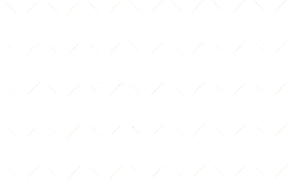 WellP PET Film Roll - Check Pattern White