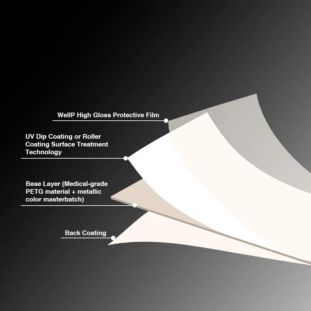 WellP PETG Structural Diagram